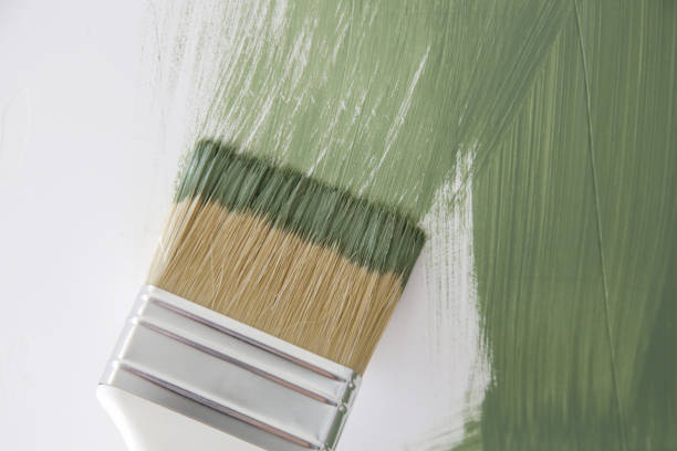 Best Environmental Consulting for Mold Prevention  in Hopkins, SC